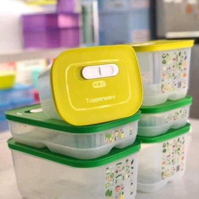 Bộ Hộp Tupperware Trữ Mát Có Nút Hô Hấp Ventsmart 6 Hộp - Nữ Hoàng Trữ Mát - Tươi Đến 3 Tuần