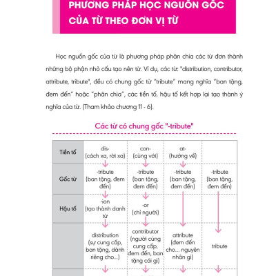 Bộ Sách Nghiền Từ Vựng Tiếng Anh - Học Qua Gốc Từ Bằng Hình Ảnh - Gốc Từ Là Bí Quyết Để Ghi Nhớ Hàng Nghìn Từ Vựng (Bộ 2 Quyển)