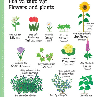 Cuốn Sách Từ Vựng Đầu Tiên Của Tôi - My First Word Book- Thiên Nhiên - Nature