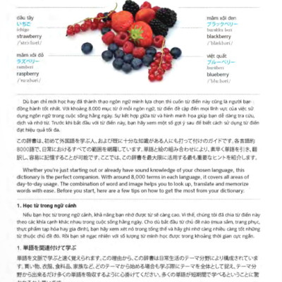 PONS GENERAL REFERENCE – TRILINGUAL VISUAL DICTIONARY Vietnamese–Japanese–English