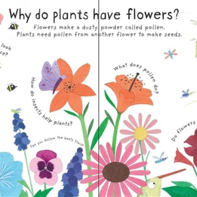 Sách tương tác tiếng Anh - Lift-The-Flap First Questions And Answers: How Do Flowers Grow?