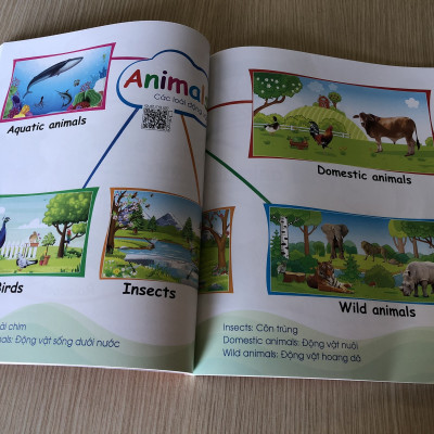 Chinh Phục Từ Vựng Tiếng Anh Theo Sơ Đồ Tư Duy Mind Map