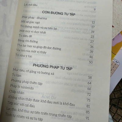 (Tái bản 2024) HƯỚNG DẪN THIỀN QUÁN TRONG ĐỜI SỐNG HẰNG NGÀY – Joseph Goldstein – Nguyễn Duy Nhiên dịch – Thaihabooks – NXB Hà Nội
