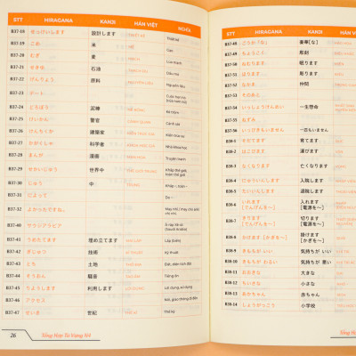 HACK NÃO TỪ VỰNG N4 - 3 PHƯƠNG PHÁP HỌC THÔNG MINH (ÂM THANH TƯƠNG TỰ- TỪ GIỐNG NHAU- CHUYỂN ÂM HÁN VIỆT)