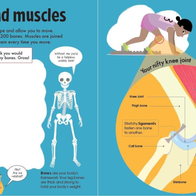 Book & Jigsaw - Fun Facts - The Human Body