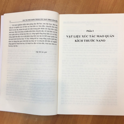 Xúc Tác Mao Quản Trong Quá Trình Hóa Dầu