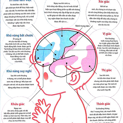 Dạy Con Kiểu Nhật - Giai Đoạn 0 Tuổi (Tái Bản)