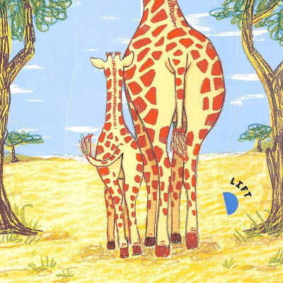 Wild Bottoms: A Lift-The-Flap Book