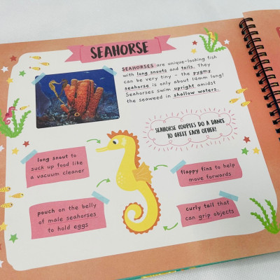 Little Wonders Sticker By Number - In The Ocean