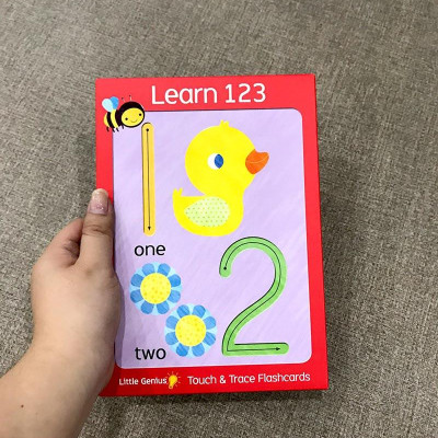 Little Genius Giant Flash