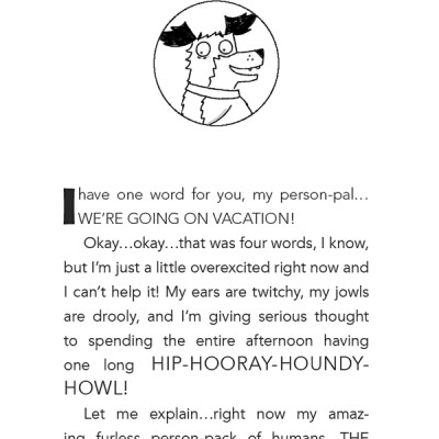 Dog Diaries 5: Ruffing It: A Middle School Story