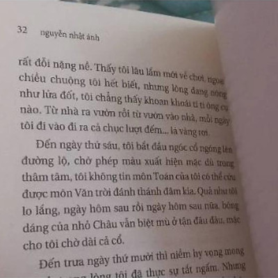Trại Hoa Vàng (Tái Bản 2022)