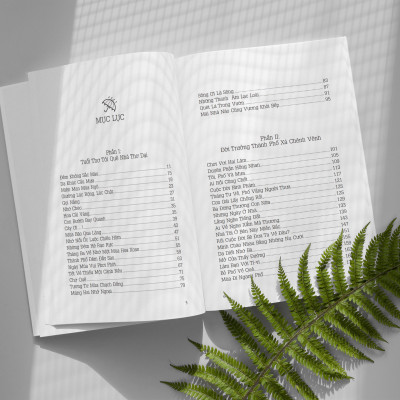 COMBO 4 - Người Kể Chuyện Đời (Dẫu ra đi vẫn sẽ cười + Ai rồi cũng bình yên + Lữ Khách Ven Đường + Tôi Tìm Mình Giữa Những Tháng Năm)