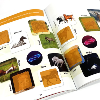 World Of Horses Sticker Book Treasury