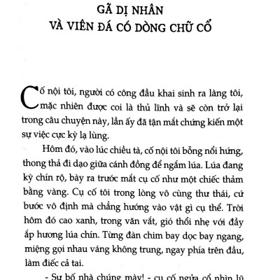Đất Mồ Côi (Tiểu Thuyết)
