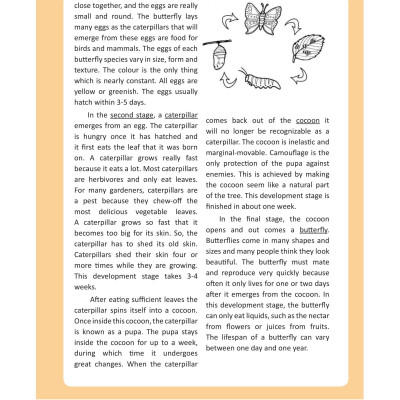 The Ultimate Guide To Academic Reading (Bộ Sách Ielts Mike)