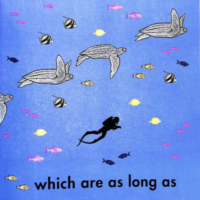 How Long Is A Whale?