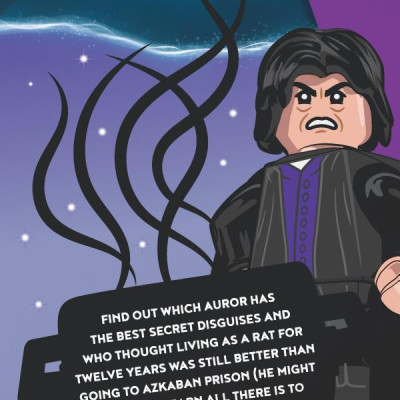 Witches and Wizards Character Handbook (LEGO Harry Potter) (LEGO Wizarding World of Harry Potter)