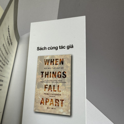 THONG DONG BƯỚC ĐẾN, TỰ TẠI ĐI VỀ - Pema Chödrön - Sen Xanh dịch - Thái Hà Books - NXB Dân Trí