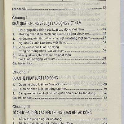 Sách - Giáo Trình Luật Lao Động Việt Nam