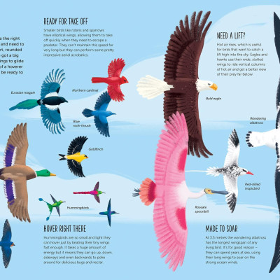 High: Soar To New Heights