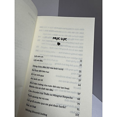 THONG DONG BƯỚC ĐẾN, TỰ TẠI ĐI VỀ - Pema Chödrön - Sen Xanh dịch - Thái Hà Books - NXB Dân Trí