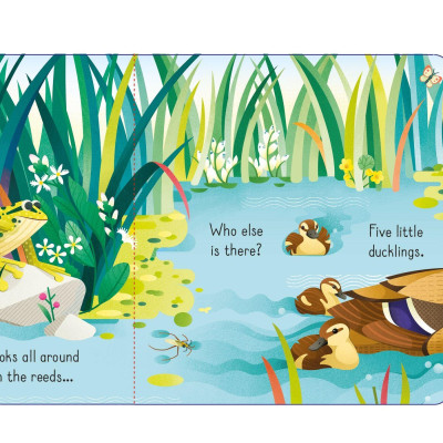 Lift The Flap Spotty Frog