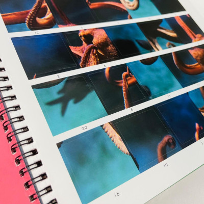 Little Wonders Sticker By Number - In The Ocean