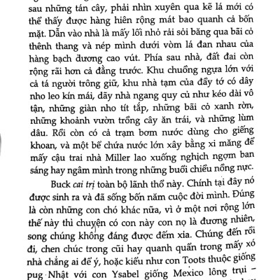 Tiếng Gọi Nơi Hoang Dã (Tái Bản 2023)