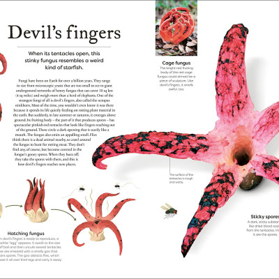 Sách ngoại văn: Weird And Wonderful Nature -Tales Of More Than 100 Unique Animals, Plants, And Phenomena