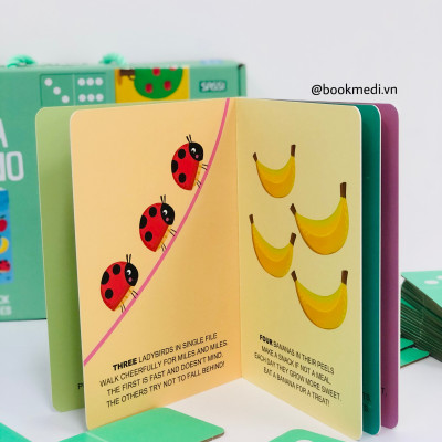 Bộ đồ chơi domino kèm sách cho bé 3+ học số và tiếng anh Mega Domino Nature