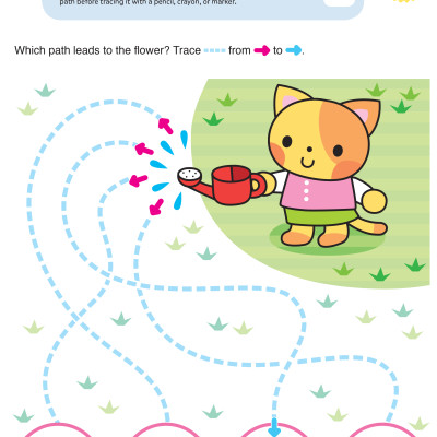 Play Smart Skill Builders 3+