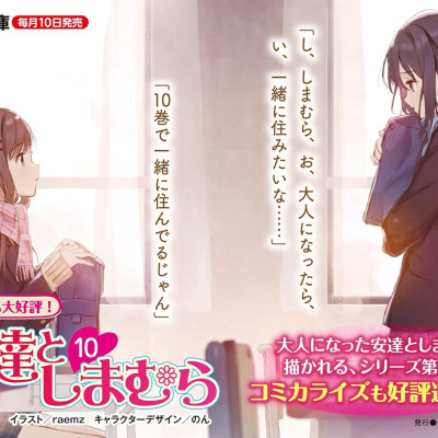 Adachi To Shimamura 10 (Light Novel) (Japanese Edition)