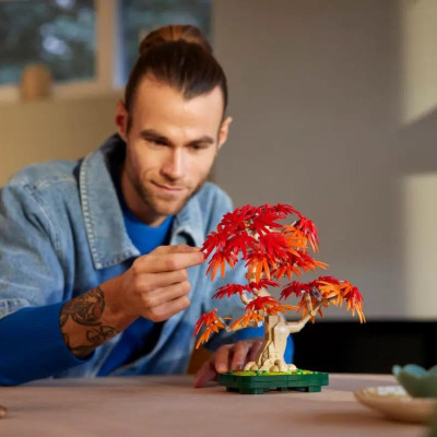 Đồ Chơi Lắp Ráp Cây Bonsai Lá Phong Đỏ - Lego Botanicals 10348 (474 Mảnh Ghép)