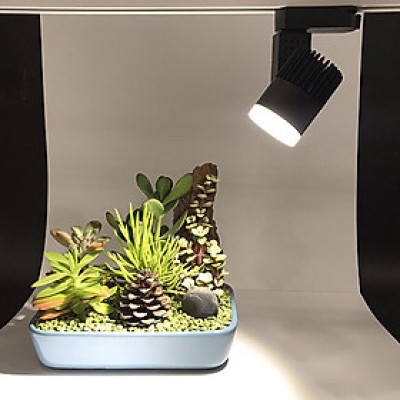 ĐÈN LED RỌI RAY RRC INNOLAMP,VỎ ĐEN ÁNH SÁNG TRẮNG/VÀNG/TRUNG TÍNH 