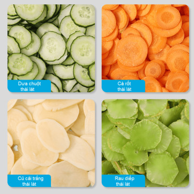 Máy thái rau củ quả đa năng chuyên nghiệp thương hiệu Septree ANS-A5, công suất 600W - Hàng Chính Hãng