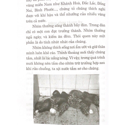 Kỹ Thuật Nuôi Nhím & Dúi - Vanlangbooks