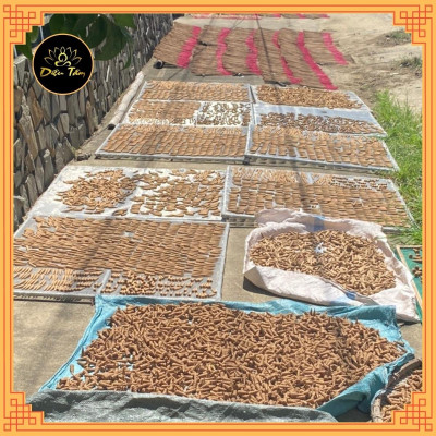 Trầm hương nụ dùng xông trầm, thác khói trầm hương trầm sạch Đại Lộc -Quảng Nam