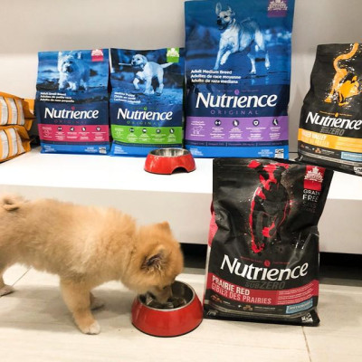 Thức Ăn Hạt Cho Chó Phốc Sóc - Nutrience Subzero Bao 2,27kg - 6 Loại Thịt (Bò, Cừu, Cá Hồi,...) Rau Củ, Trái Cây