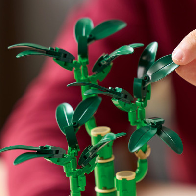 LEGO BOTANICALS 10344 Đồ Chơi Lắp Ráp Cây Thần Tài May Mắn (325 Chi Tiết)