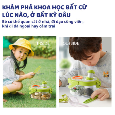 Hộp nuôi quan sát côn trùng Mideer insect box