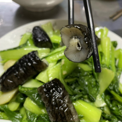 Hải Sâm Cát Supper VIP Làm Sạch & Cấp Đông  (Túi 2 con) - Giàu Collage Type 1, Trẻ Hóa Làn Da, Phục Hồi Vết Thương Nhanh