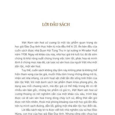 Việt Nam Văn Hóa Sử Cương