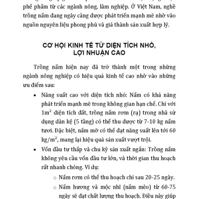 Nông Nghiệp Xanh Và Sạch - Trồng Nấm Sạch Năng Suất Cao