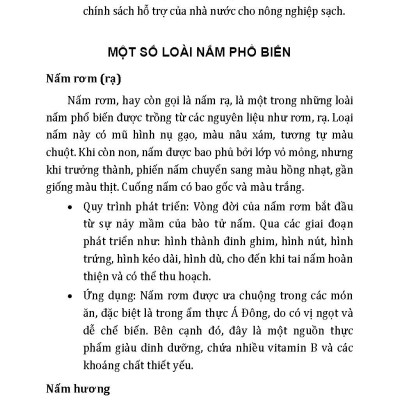 Nông Nghiệp Xanh Và Sạch - Trồng Nấm Sạch Năng Suất Cao