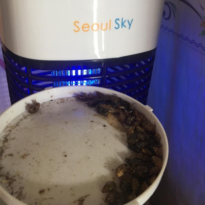 Đèn diệt côn trùng SEOUL SKY SSK-10W