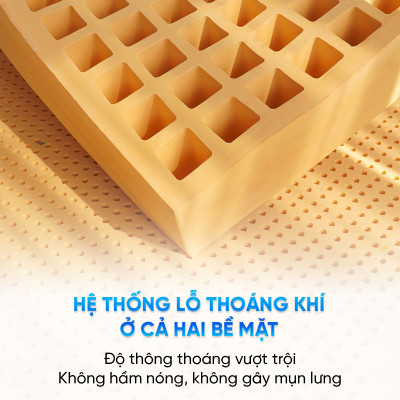 Nệm Cao Su Thiên Nhiên Latex Thuần Việt - Nâng Đỡ 7 Vùng, Thoáng Khí - Bảo Hành 15 Năm