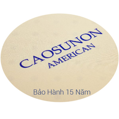 NỆM CAO SU NON AMERICAN CAO CẤP DÀY 10CM 002-OH