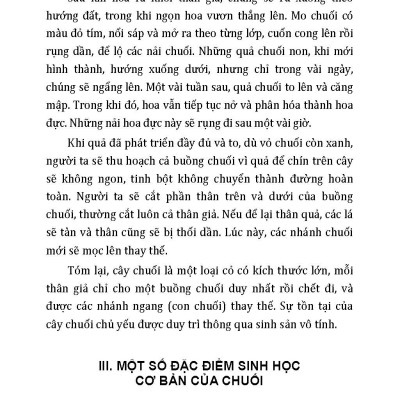 Nông Nghiệp Xanh Và Sạch - Trồng Chuối Năng Suất Cao Và Kỹ Thuật Khai Thác