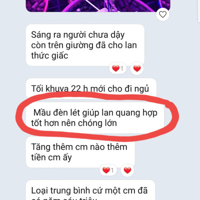 Đèn Trồng Lan Trong Nhà Led Grow Light giúp hoa lan phát triển tốt và "chống lạnh cho lan" vào mùa đông (Led Dài 1.2M màu tím hồng)